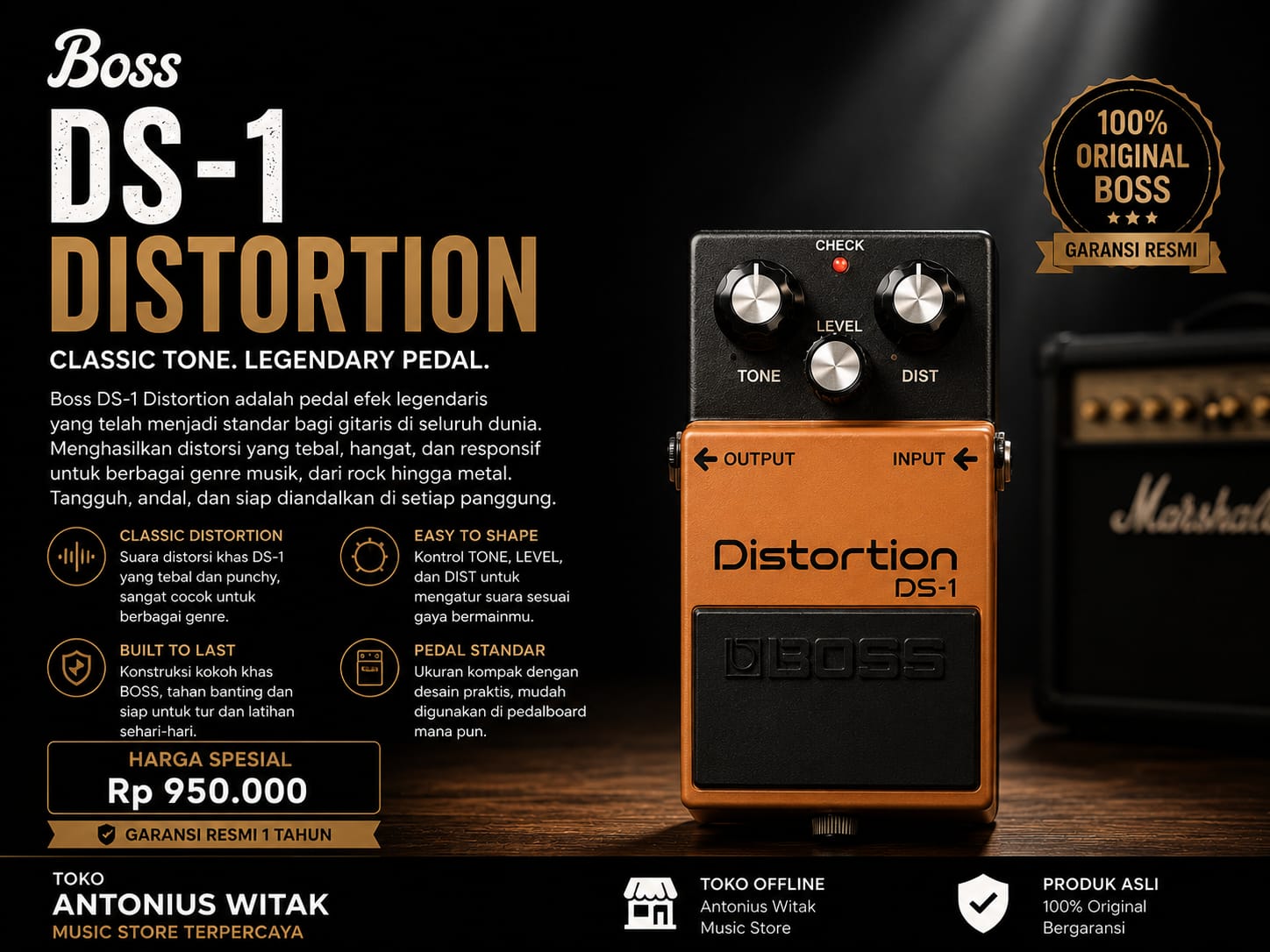 DS-1 Distorsion